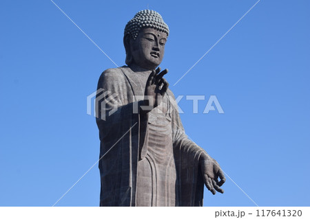 牛久大仏 世界最大のブロンズ立像 牛久大仏 世界最大のブロンズ立像 117641320