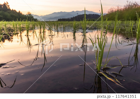 240622上野平z056 240622上野平z056 117641351