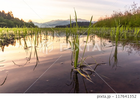240622上野平z066 240622上野平z066 117641352