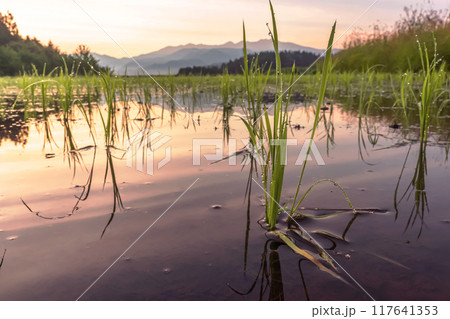 240622上野平z067 240622上野平z067 117641353