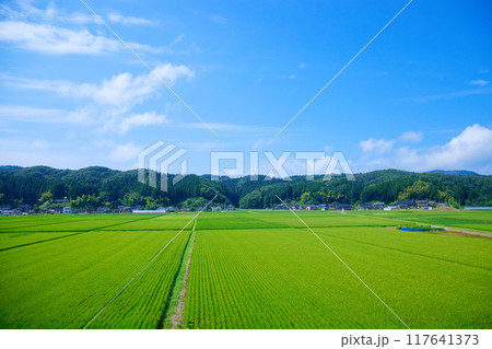海里より庄内地方の田園風景を望む　鶴岡市　矢引 117641373