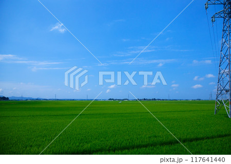海里より庄内地方の田園風景を望む 鶴岡市 和名川 海里より庄内地方の田園風景を望む 鶴岡市 和名川 117641440