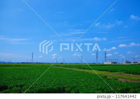 海里より庄内変電所を望む　鶴岡市　新屋敷　藤島駅近く 117641442