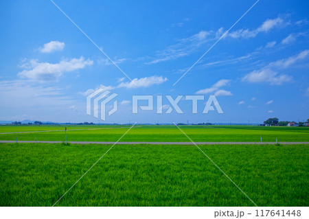 海里より庄内地方の田園風景を望む　庄内町　廻館　余目駅近く 117641448