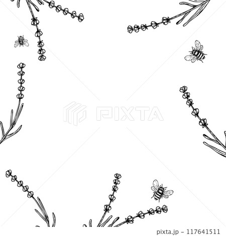 Vector frame with bumblebee and lavender. Hand painted linear flowers. Graphic clipart isolated on background. Botanical and wedding illustration. For designers, invitations, decoration, postcards 117641511