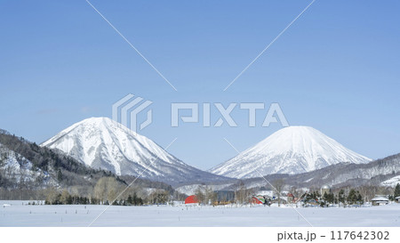 冬の牧場　16:9　尻別岳（左）羊蹄山（右）喜茂別町 117642302