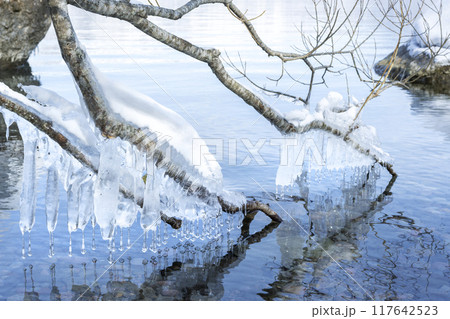 着氷の造形、支笏湖　千歳市 117642523