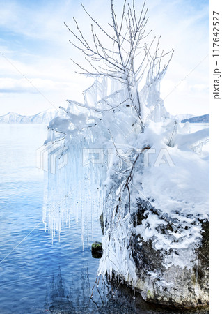 着氷の造形、支笏湖 千歳市 着氷の造形、支笏湖 千歳市 117642527