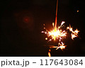 手持ち花火 117643084