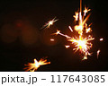 手持ち花火 117643085