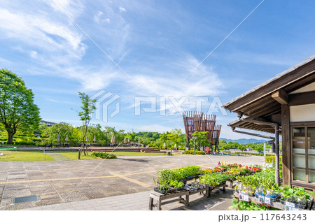 道の駅みのかも ぎふ清流里山公園 大樹の遊具 道の駅みのかも ぎふ清流里山公園 大樹の遊具 117643243