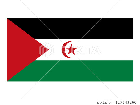 国旗 西サハラ 国旗 西サハラ 117643260