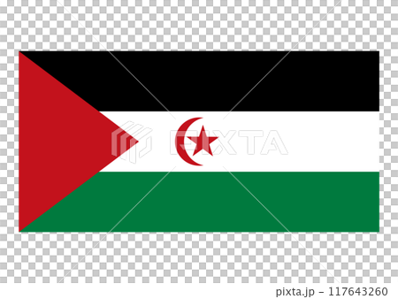 国旗 西サハラ 国旗 西サハラ 117643260