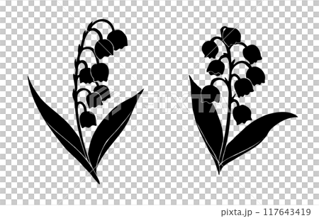 Lily of the valley silhouette illustration 117643419