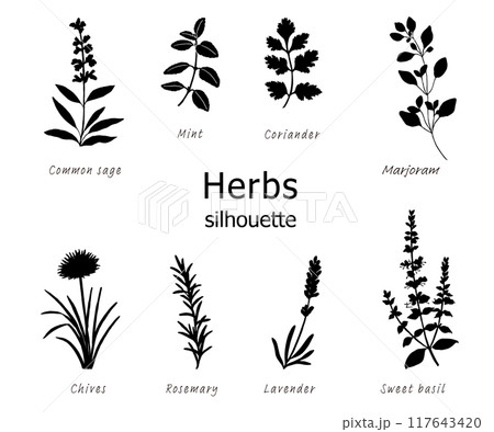ハーブのシルエットイラストセット 117643420