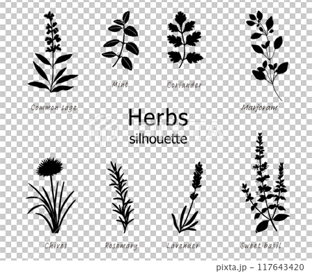 ハーブのシルエットイラストセット 117643420