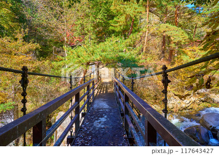秋の山梨県甲府市 昇仙峡の遊歩道から羅漢寺に向かう吊橋 秋の山梨県甲府市 昇仙峡の遊歩道から羅漢寺に向かう吊橋 117643427