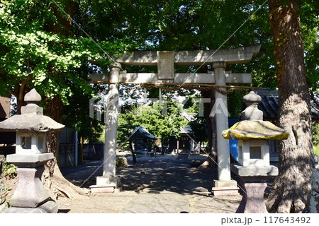 沼津市 東海道沿いの三社宮鳥居と参道 沼津市 東海道沿いの三社宮鳥居と参道 117643492
