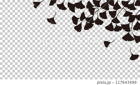 銀杏葉剪影 銀杏葉剪影 117643499