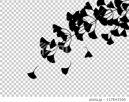 Ginkgo leaf silhouette Ginkgo leaf silhouette 117643500