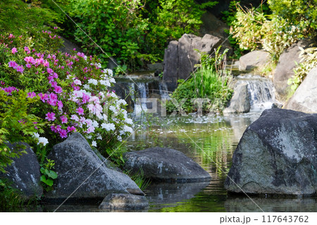 池のある風景 117643762
