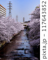 桜の花のある風景 117643852