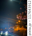 月明かりに照らされる車と桜 117643912
