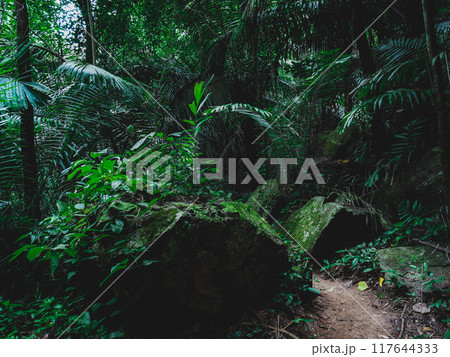 Tham Tarn Lod Noi Cave surrounded by lush green forest, nature trail at Chalerm Rattanakosin National Park, Kanchanaburi, Thailand. 117644333