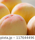 もも 117644496