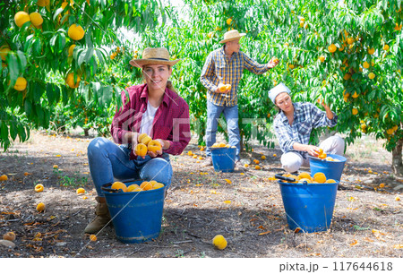 Girl with bunch of peaches Girl with bunch of peaches 117644618