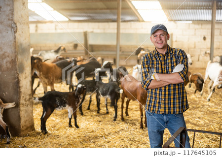 Successful farmer posing in barn with herd of domestic goats Successful farmer posing in barn with herd of domestic goats 117645105