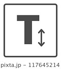 text height icon from user interface collection. Thin linear text height, text, editable stroke, pixel perfect 117645214