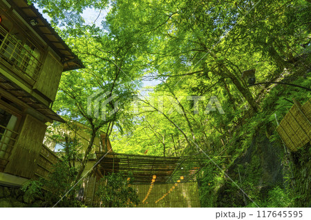 京都　貴船の川床　新緑の季節 117645595