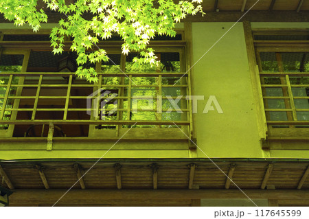 京都 貴船の川床 新緑の季節 京都 貴船の川床 新緑の季節 117645599