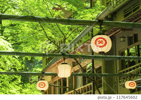 京都　貴船の川床　新緑の季節 117645602