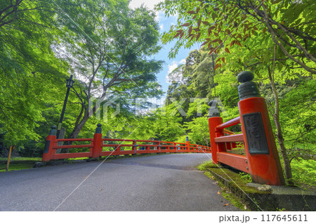 京都　神護寺参道　高雄橋と新緑 117645611