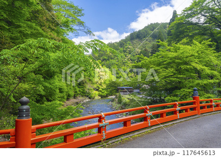 京都　神護寺参道　高雄橋と新緑 117645613