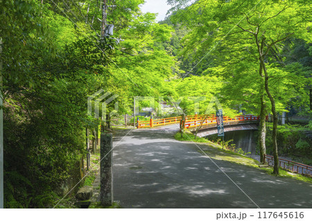 京都　神護寺参道　高雄橋と新緑 117645616