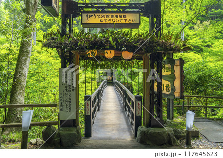 京都　神護寺麓　もみじばしと新緑 117645623
