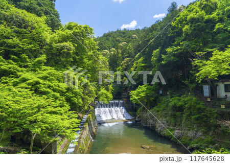 清滝橋から眺める清滝川（錦雲渓） 117645628