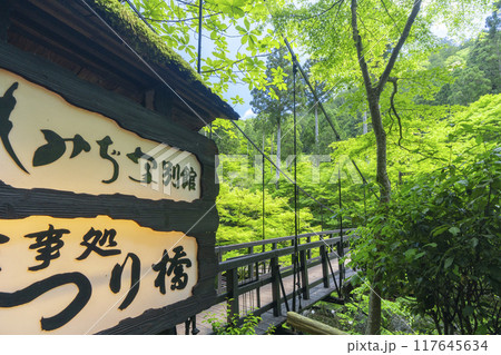 京都　神護寺麓　もみじばしと新緑 117645634