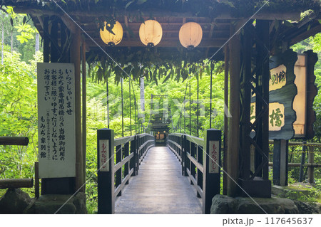 京都　神護寺麓　もみじばしと新緑 117645637