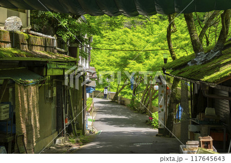 京都 神護寺麓 高雄観光ホテルと美しい新緑 京都 神護寺麓 高雄観光ホテルと美しい新緑 117645643