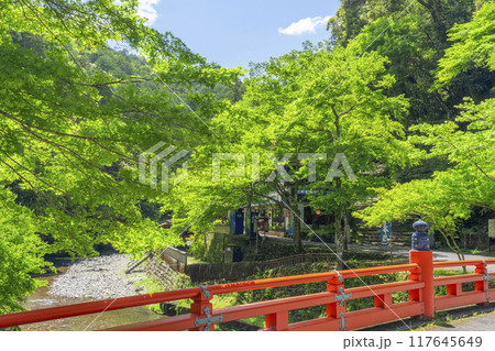 京都　神護寺参道　高雄橋と新緑 117645649