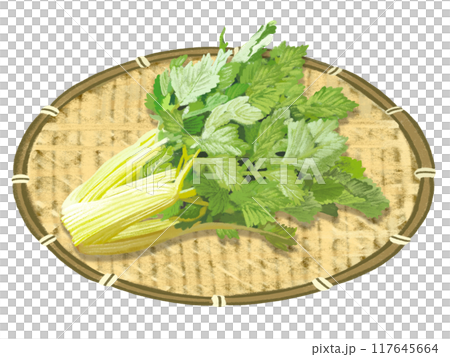 セロリ（ザル付き） 117645664