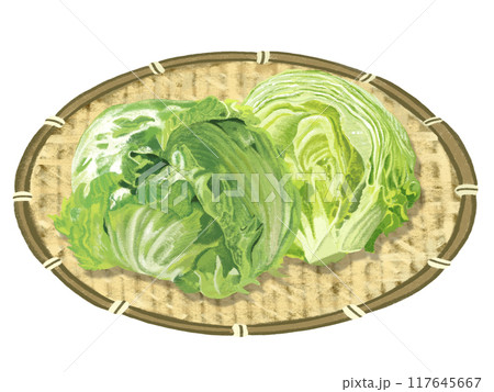 レタス（ザル付き） 117645667