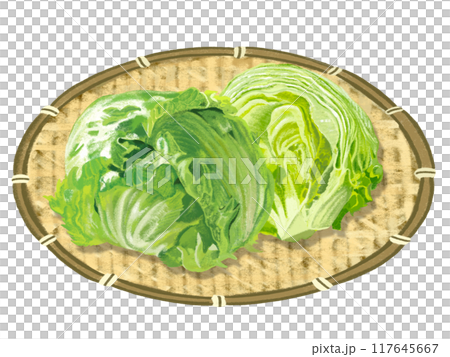 Lettuce (with colander) Lettuce (with colander) 117645667