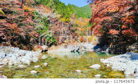 秋の阿寺渓谷 秋の阿寺渓谷 117645673