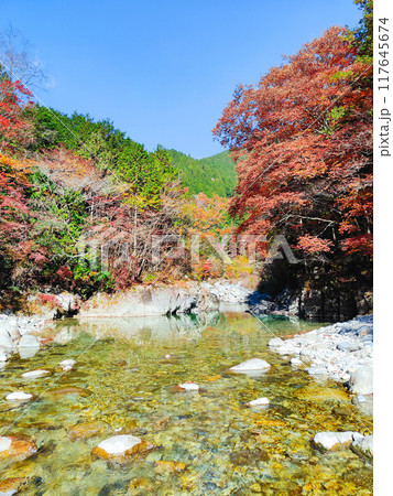 秋の阿寺渓谷 秋の阿寺渓谷 117645674
