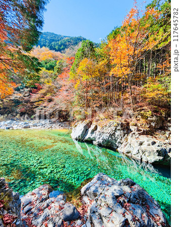 秋の阿寺渓谷 秋の阿寺渓谷 117645782